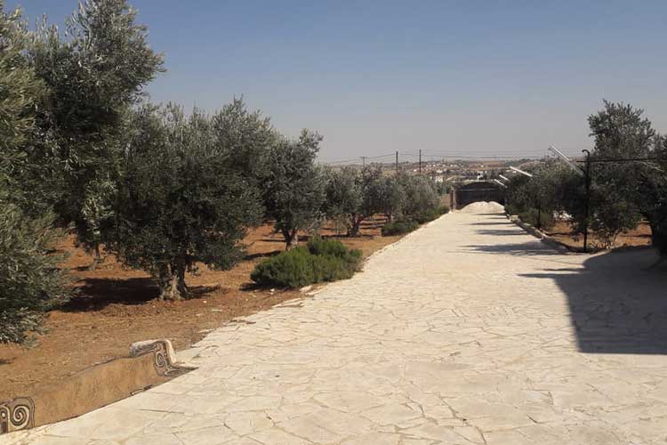 مزرعة  12000 م للبيع في رحاب المفرق 