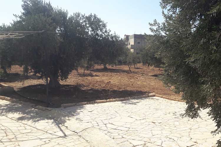 مزرعة  12000 م للبيع في رحاب المفرق 